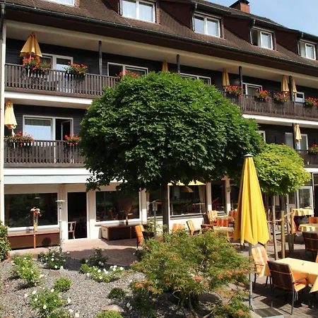 Hotel Goldener Knopf Bad Sackingen