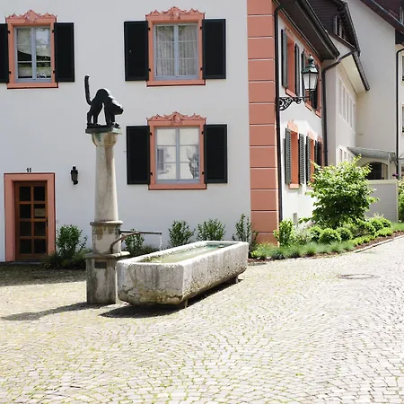 Hotel Goldener Knopf 4*