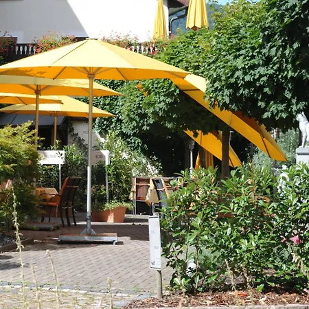 酒店 Goldener Knopf 巴特塞京根