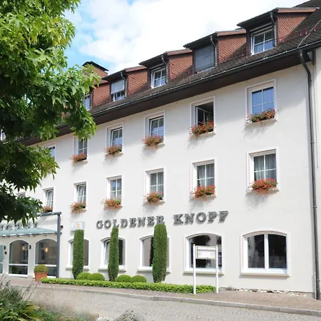 酒店 Goldener Knopf 巴特塞京根