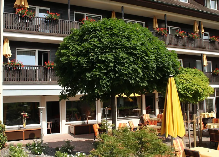 Goldener Knopf Bad Sackingen