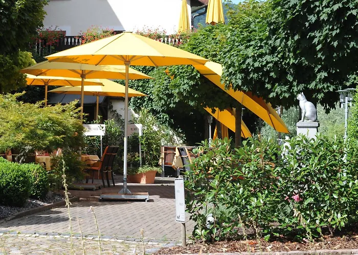 Hotel Goldener Knopf Bad Sackingen